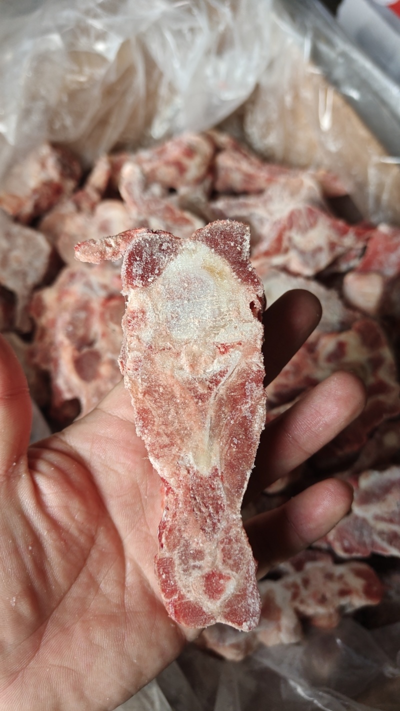 多肉羊蝎子，开箱实拍颜色鲜亮，带肉率高，一件也是批发价