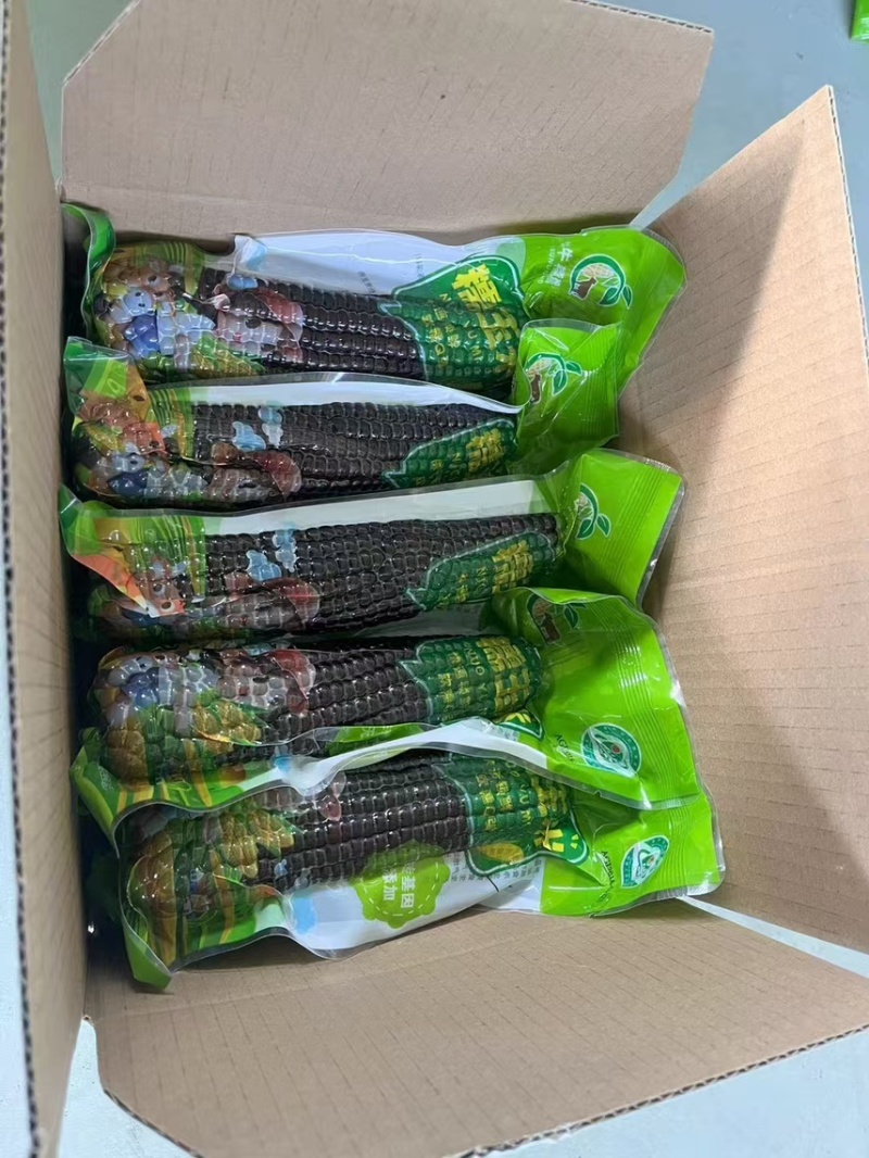 一件代发黑糯玉米，18根装批发市场，大量有货