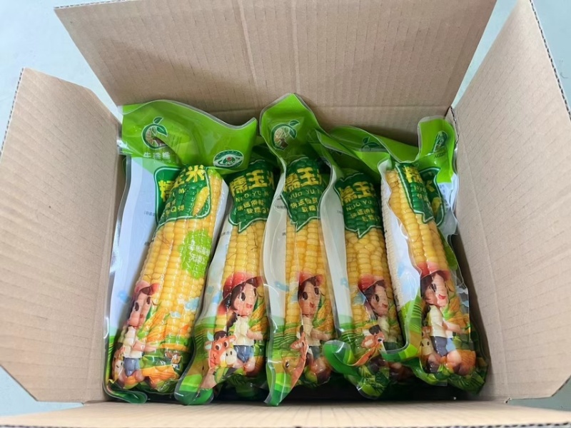 一件代发黑糯玉米，18根装批发市场，大量有货