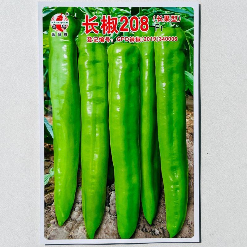 长椒208种子中早熟黄绿皮大果长型牛角椒菜椒种子