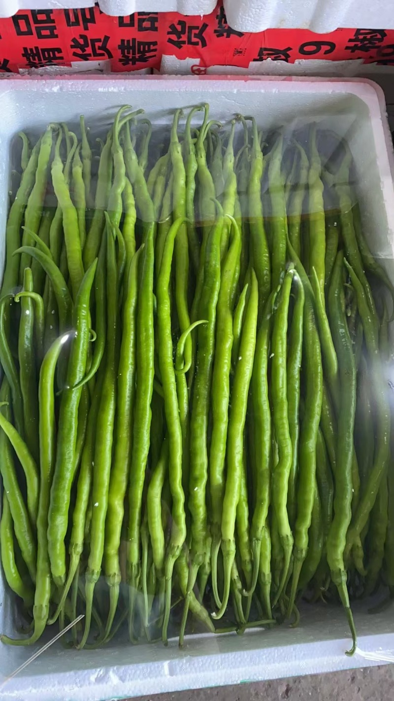 山东省青州市优质农产品生产基地