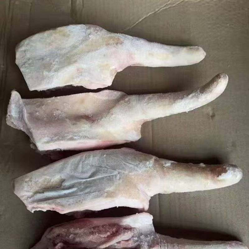 3237.带根猪尾到货了，到了一个柜这个货，品质非常好，