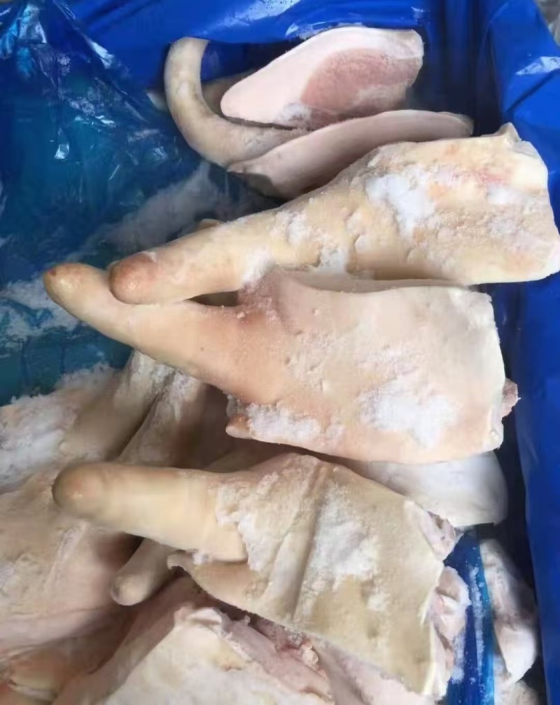 3237.带根猪尾到货了，到了一个柜这个货，品质非常好，