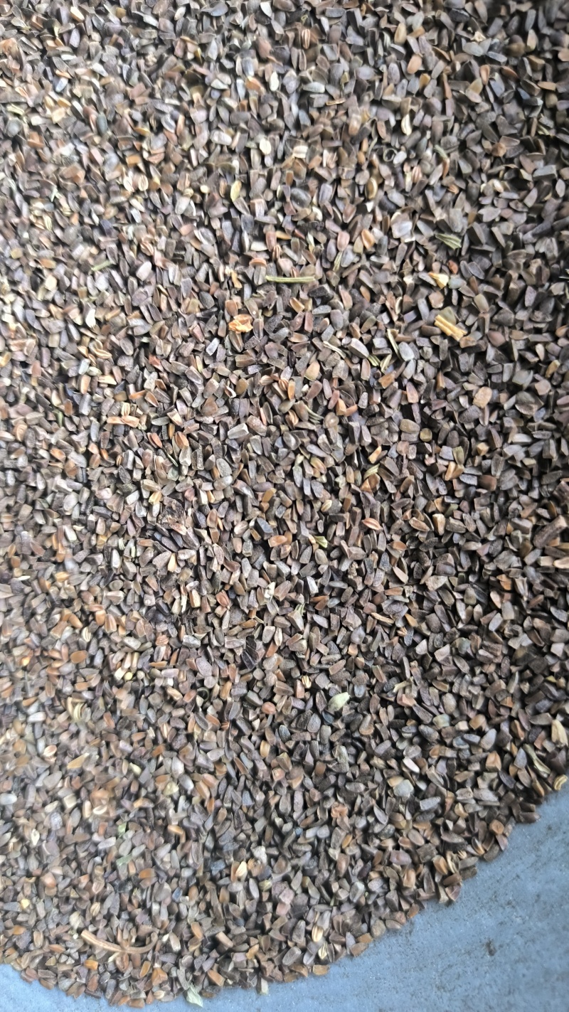 茺蔚子小胡麻中药材批发茺蔚子质量保证量大从优