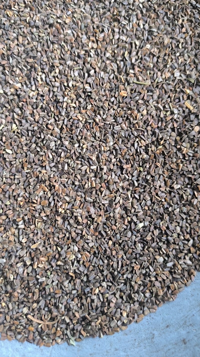 茺蔚子小胡麻中药材批发茺蔚子质量保证量大从优