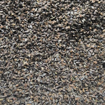 茺蔚子小胡麻中药材批发茺蔚子质量保证量大从优