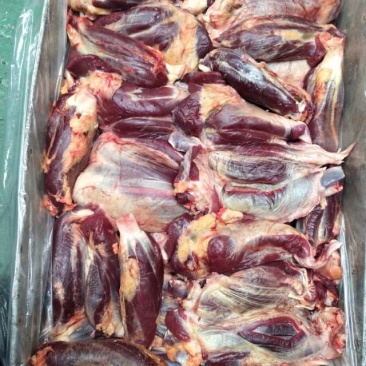 牦牛牛前腱