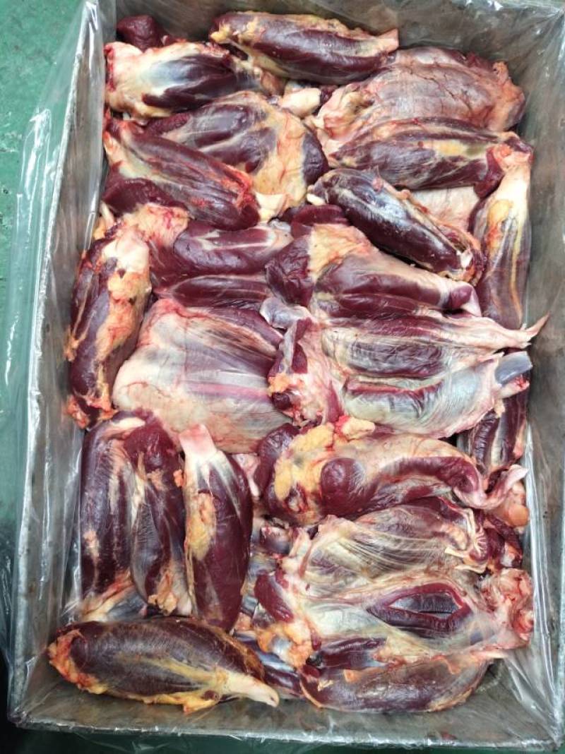 牦牛牛前腱