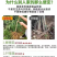 果园直发桃树苗特早熟离核全红蜜桃巨型冬桃油蟠桃苗