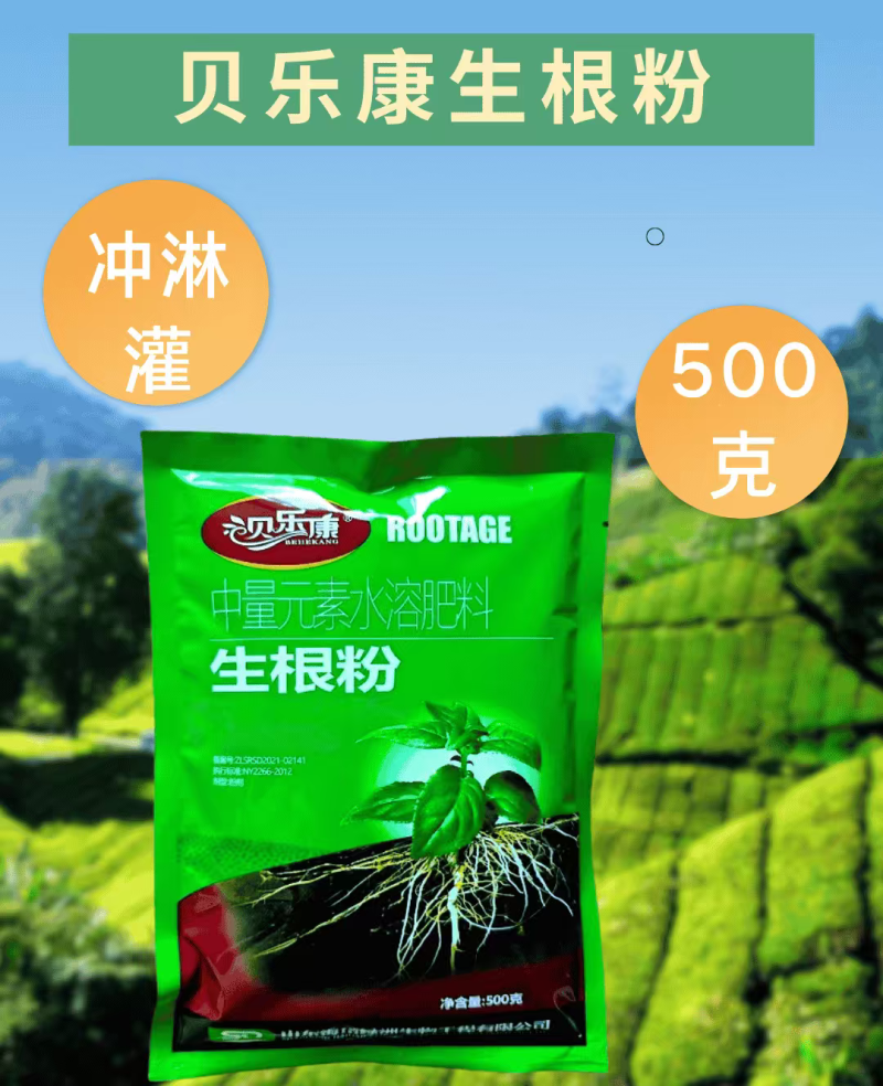 贝乐康生根粉育苗扦插移栽复壮促根壮苗果树蔬菜大田农用冲施