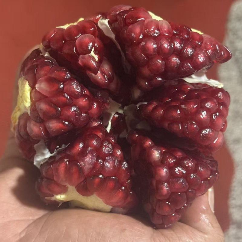 石榴，突尼斯软籽石榴，会理石榴，市场货电商货
