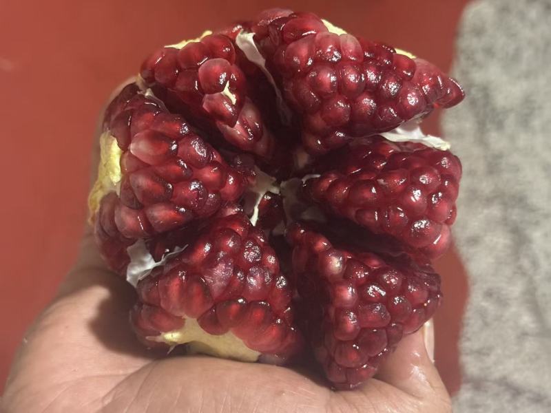 石榴，突尼斯软籽石榴，会理石榴，市场货电商货