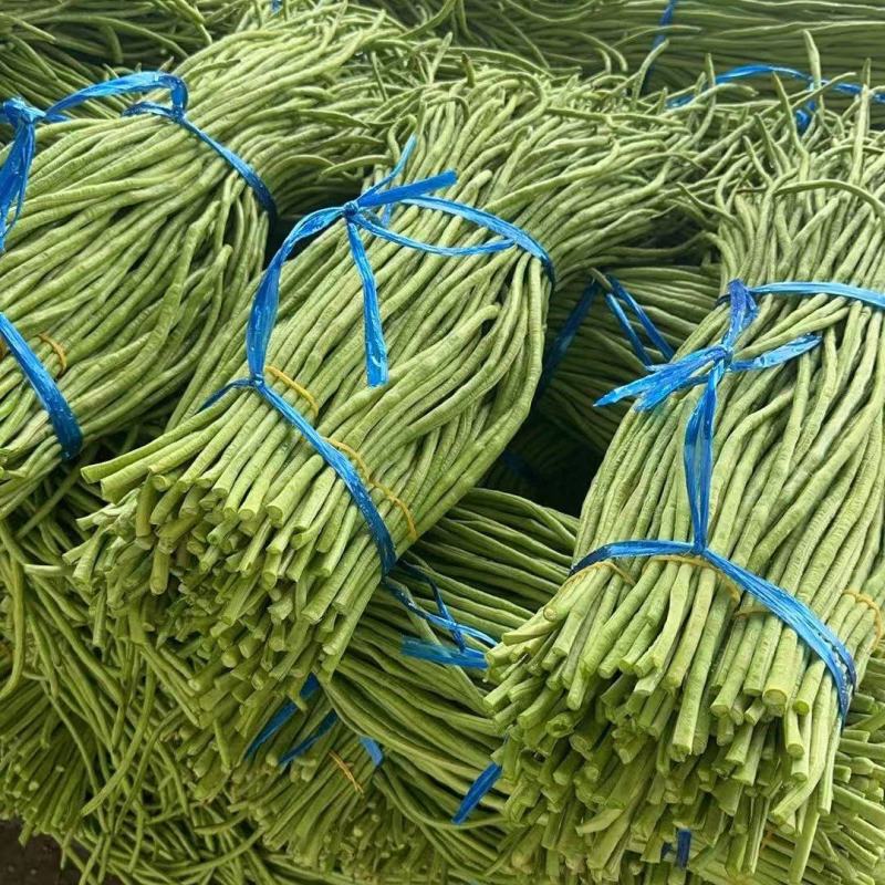 福建精品豆角长豇豆长豆角青条豆角基地直供一手货源