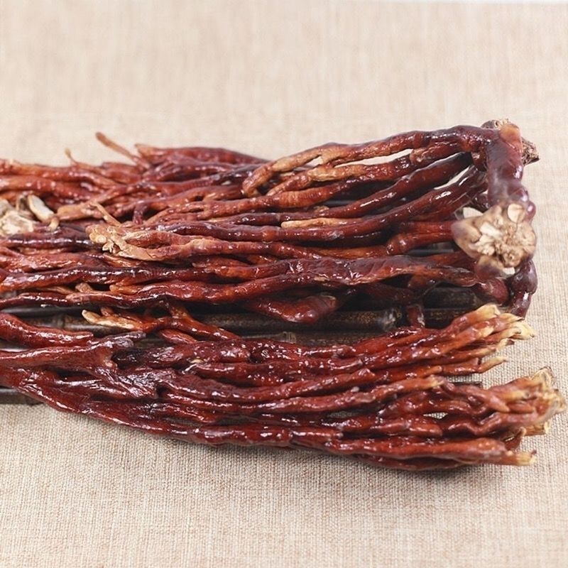 正宗灵芝草中药材长白山特产整枝灵芝包邮新鲜又名鹿角灵芝草