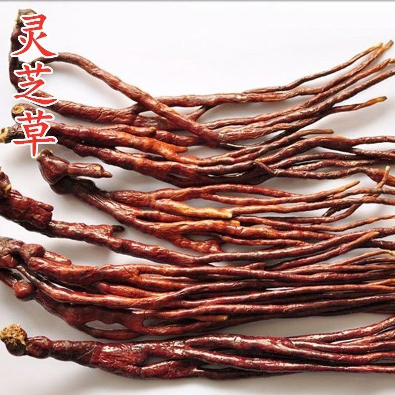 正宗灵芝草中药材长白山特产整枝灵芝包邮新鲜又名鹿角灵芝草