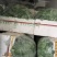 大棚种植木耳菜精品商超专用
