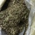 蒲公英，过筛无沫，新货，货源充足，支持在线下单