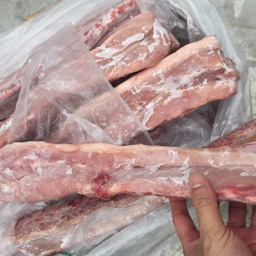 国产肥猪多肉龙骨