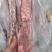 国产肥猪多肉龙骨