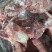 国产满肉棒骨头