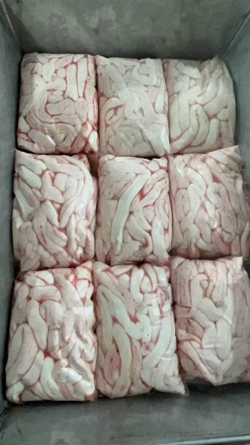 去皮脊髓