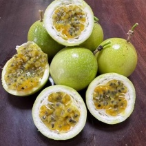 百香果钦蜜9号**各大平台，量大有优惠，电商市场价格便宜