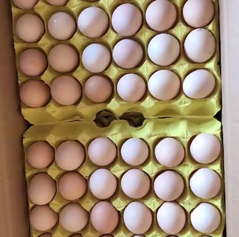 绿壳鸡蛋精品一手货源价格美丽，有需要的老板请联系！！！！