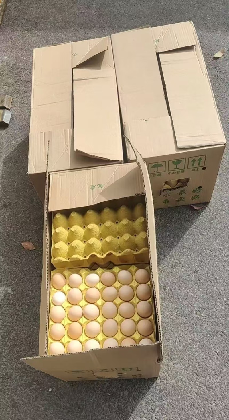 绿壳鸡蛋精品一手货源价格美丽，有需要的老板请联系！！！！