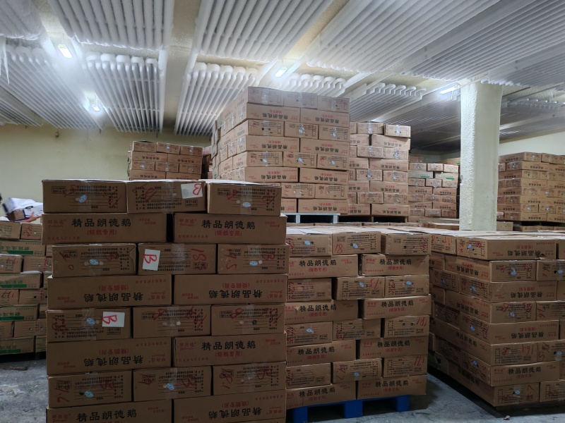 白条鹅广式烧鹅专用鹅