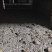土元虫