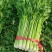 优质芹菜法国皇后芹菜河南蔬菜基地直发可视频看货