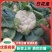 白菜花实花菜对接市场电商商超货架稳定可视频看货