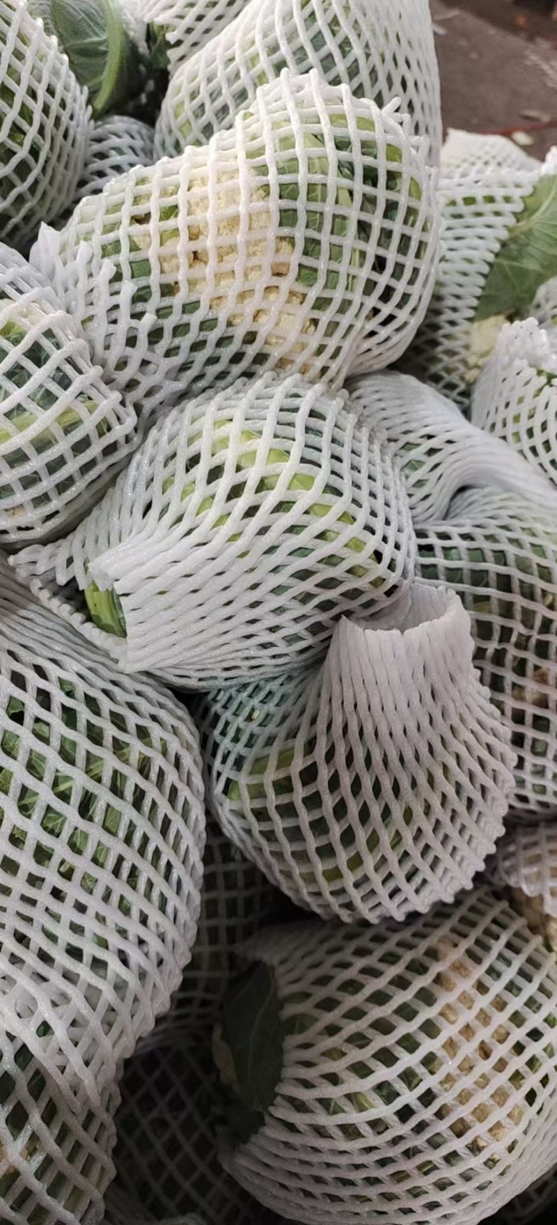 白菜花实花菜对接市场电商商超货架稳定可视频看货