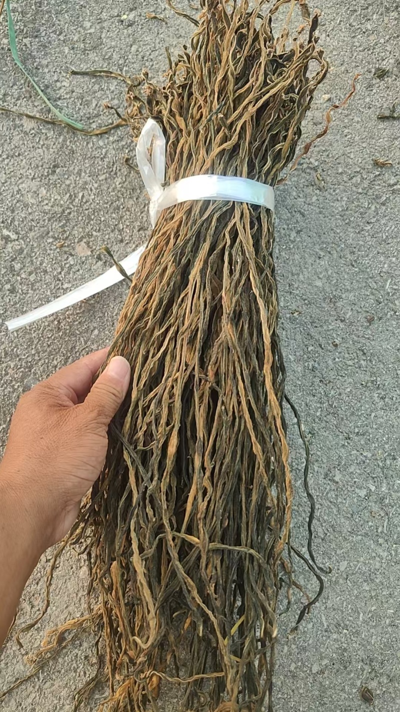 精品干豆角脱水长豆角脱水架豆王基地直供大量供应