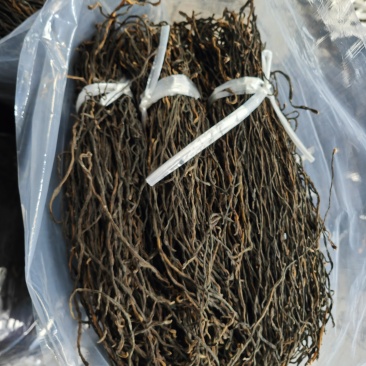 精品干豆角脱水长豆角脱水架豆王基地直供大量供应