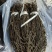 精品干豆角脱水长豆角脱水架豆王基地直供大量供应
