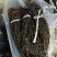 精品干豆角脱水长豆角脱水架豆王基地直供大量供应