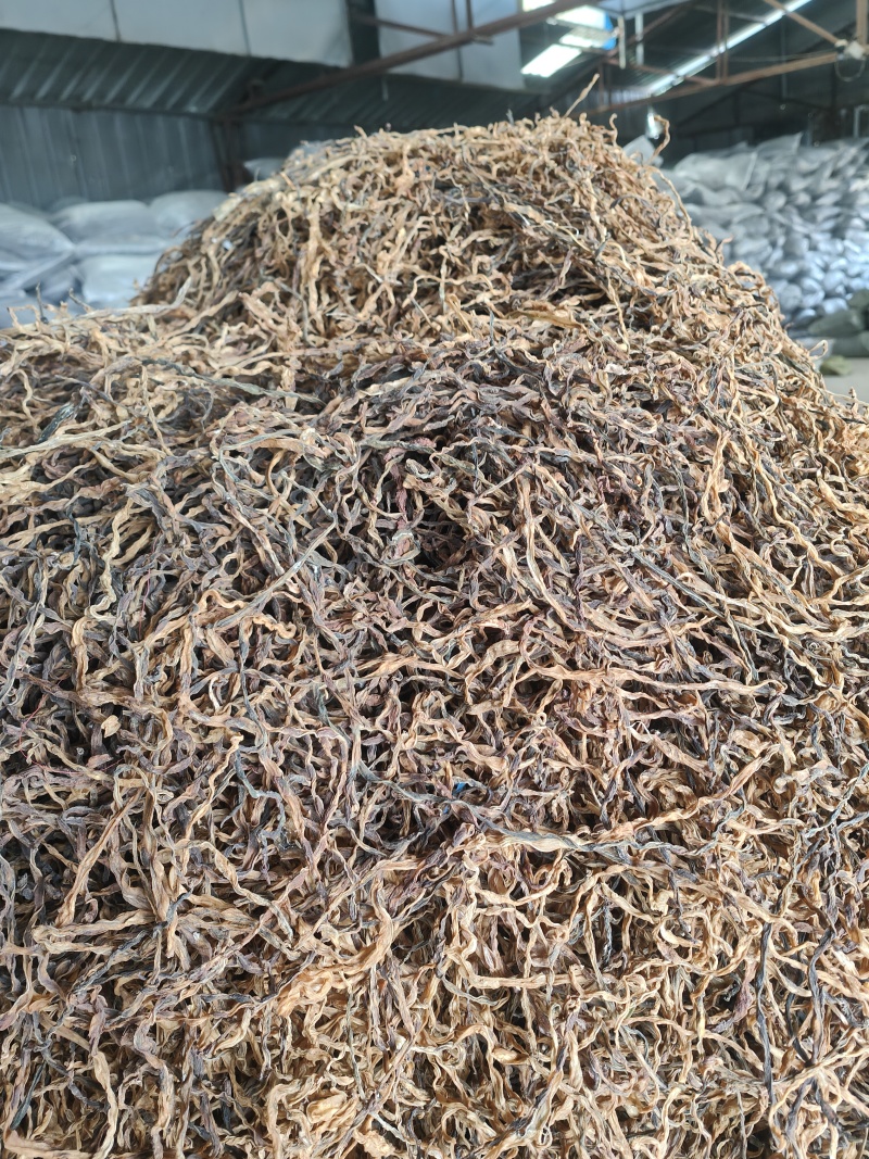 精品干豆角脱水长豆角脱水架豆王基地直供大量供应