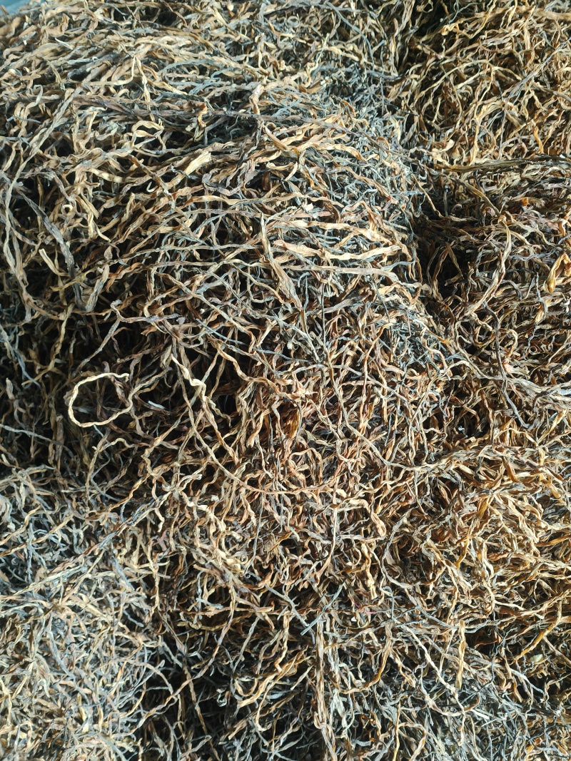 精品干豆角脱水长豆角脱水架豆王基地直供大量供应