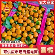 特早蜜橘普早蜜橘产地一手货源专业对接电商团购平台市场需求