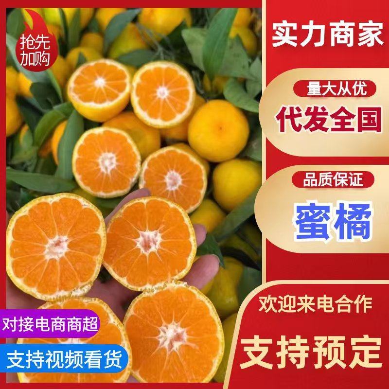 蜜橘特早蜜橘【早中晚】熟蜜橘大量供应地头鲜果采装上车