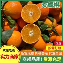 爱媛橙产地一手货源直供口感纯甜可视频看货