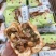忠航蜜酥月饼企业团购单位福利订购中~
