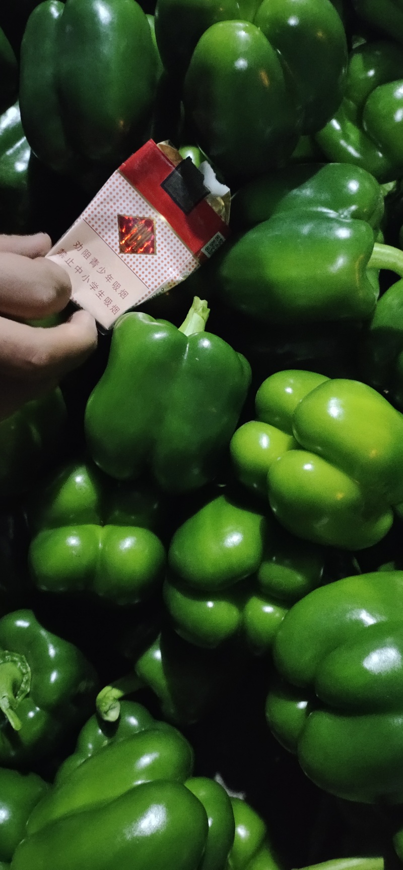 厚皮方椒圆椒太空椒青彩椒甜椒全国发货产地直发