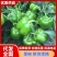 精品菜椒，青甜椒太空椒大量上市，蔬菜种植基地全国发货