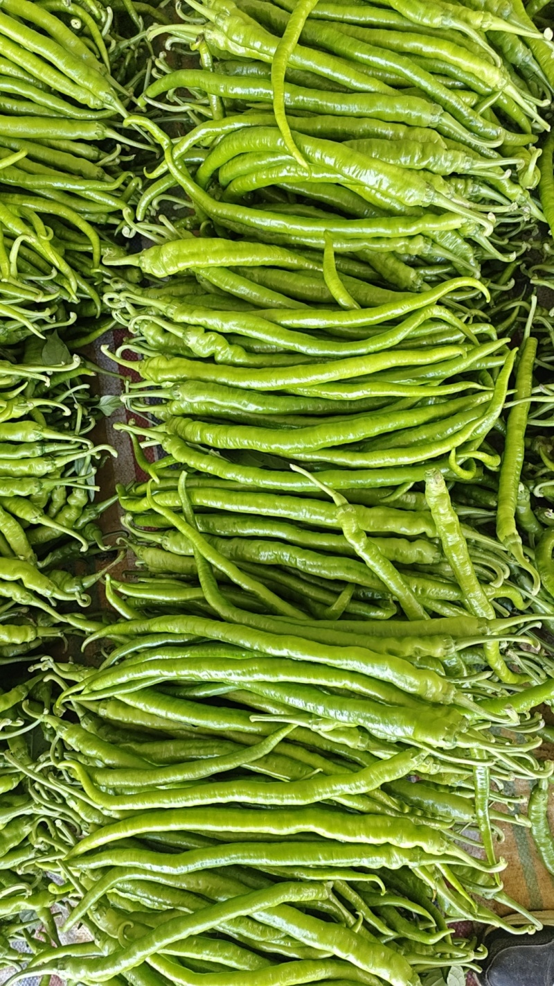 鲜辣椒