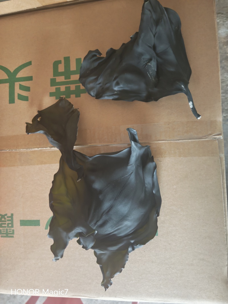 免洗烘干海带头