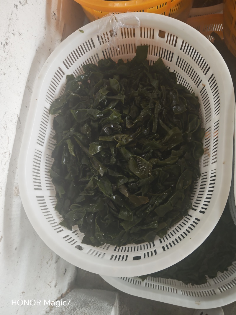 免洗烘干海带结