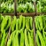 内黄县大棚蔬菜节后尖椒.圆椒.线椒.螺丝椒.等各种辣椒