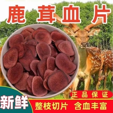 鹿茸片正宗东北鹿茸梅花鹿茸片泡茶泡酒批发零售